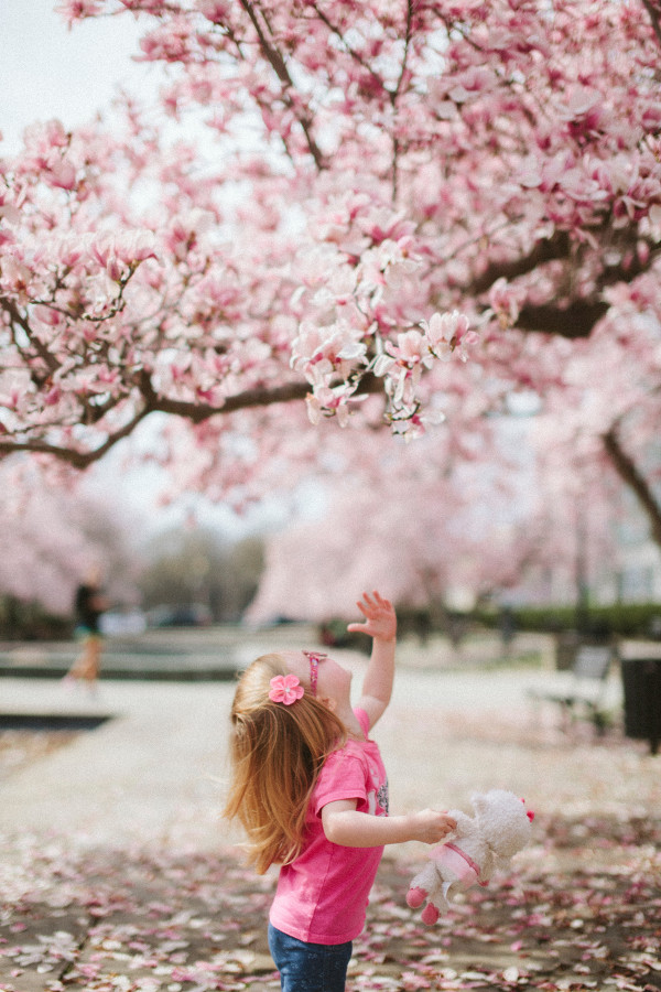 Girl waving at pink cherry blossoms. Photo by Karl Fredrickson on Unsplash